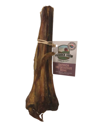 OSTRICH BONE , MEDIUM X 1