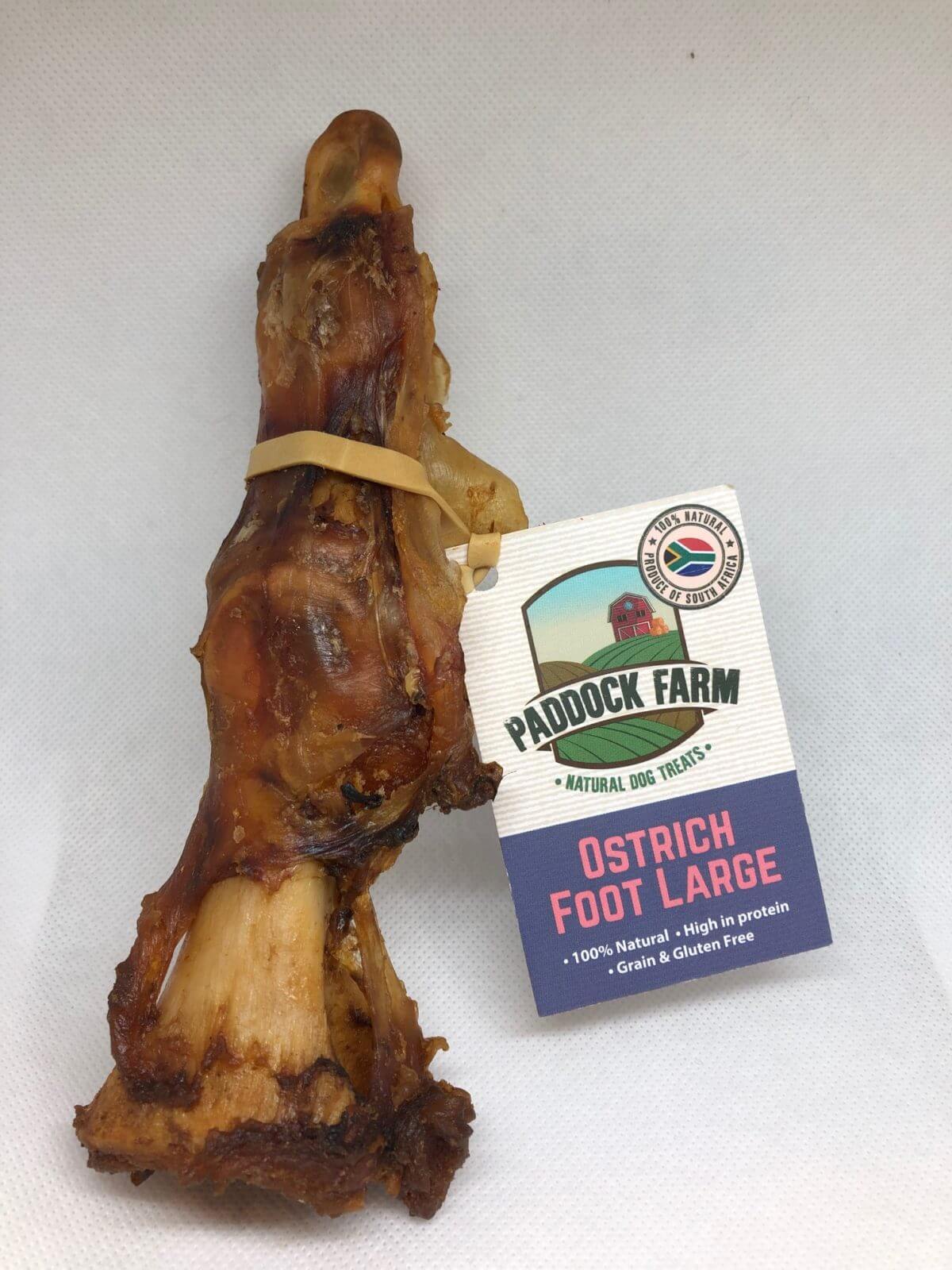 OSTRICH FOOT LARGE X 1
