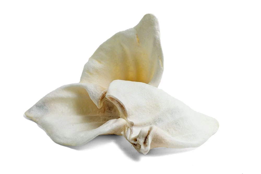 PUFFED PIGS EAR X1